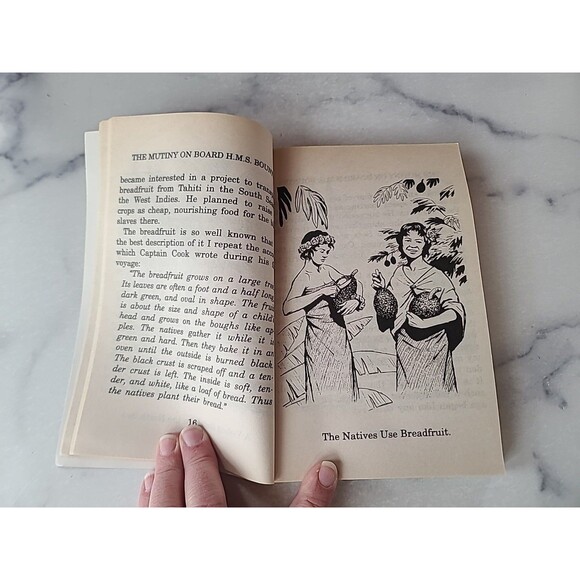 The Mutiny On Board HMS Bounty William Bligh Paperback - Picture 5 of 10